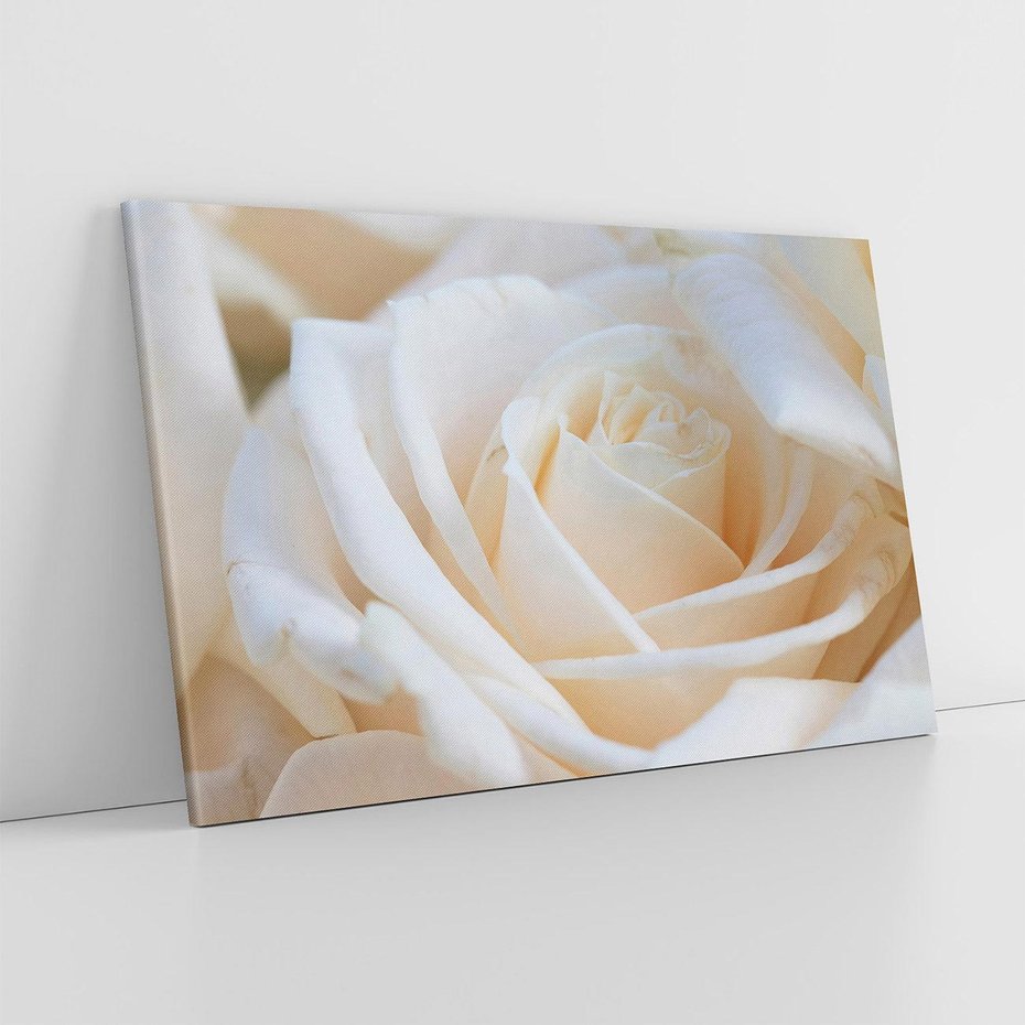 Obraz na płótnie 100x70 - Białe róże piękności - białe, róże