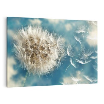 Obraz na płótnie 120x80 - Delikatność dmuchawców w pejzażu - dmuchawiec, kwiaty