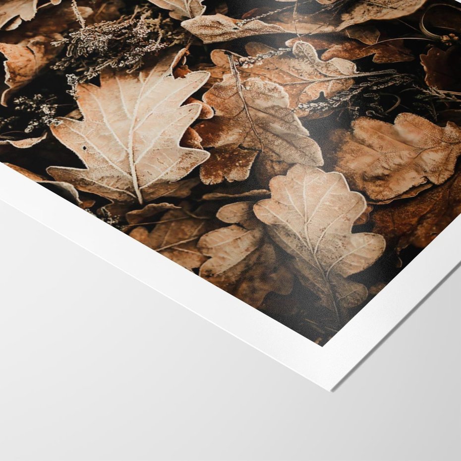 Plakat bez ramy 30x40 - Jesienna Melodia: Liście i Szyszki - suche liście, szyszki