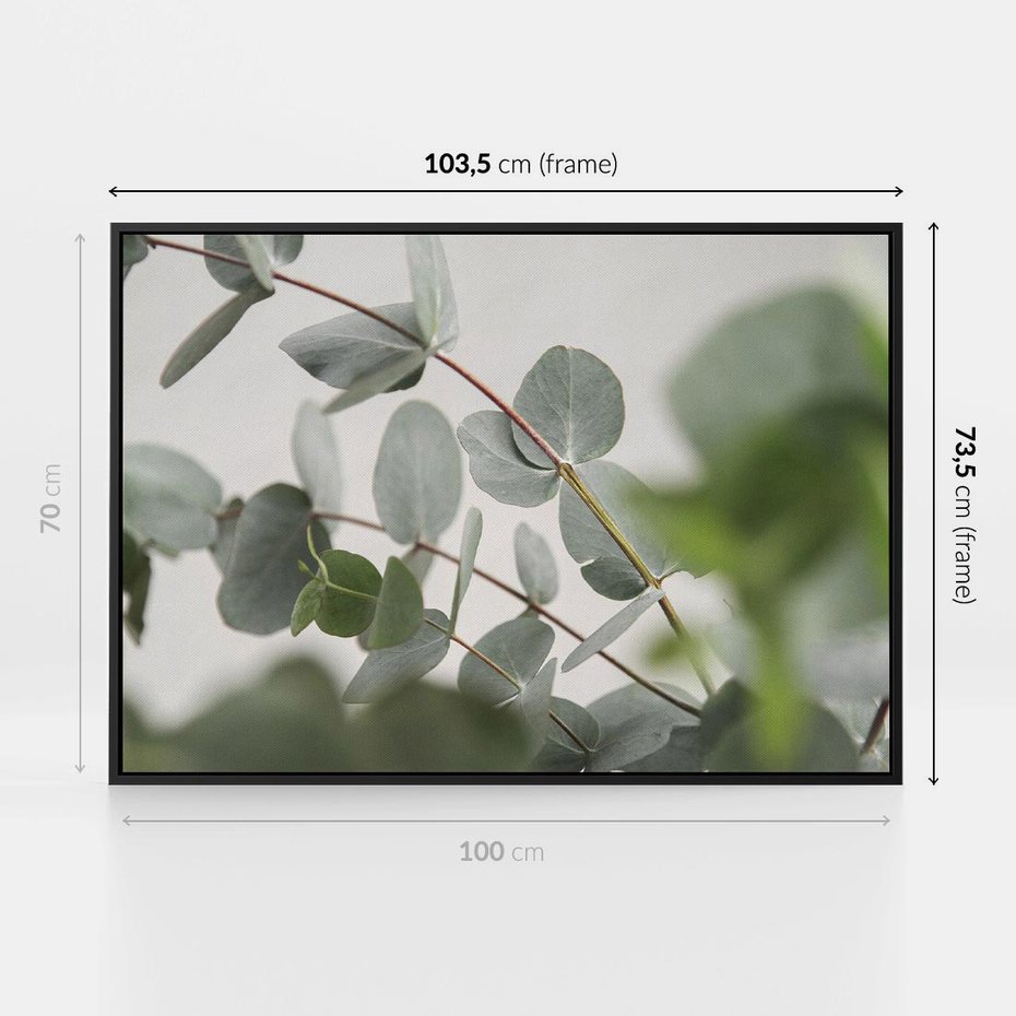 Obraz w ramie 100x70 - Liście eukaliptusa w naturze - eukaliptus, liście - rama czarna
