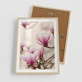 Plakat w ramie 50x70 - Urok Magnolii - magnolie, kwiaty - rama drewno