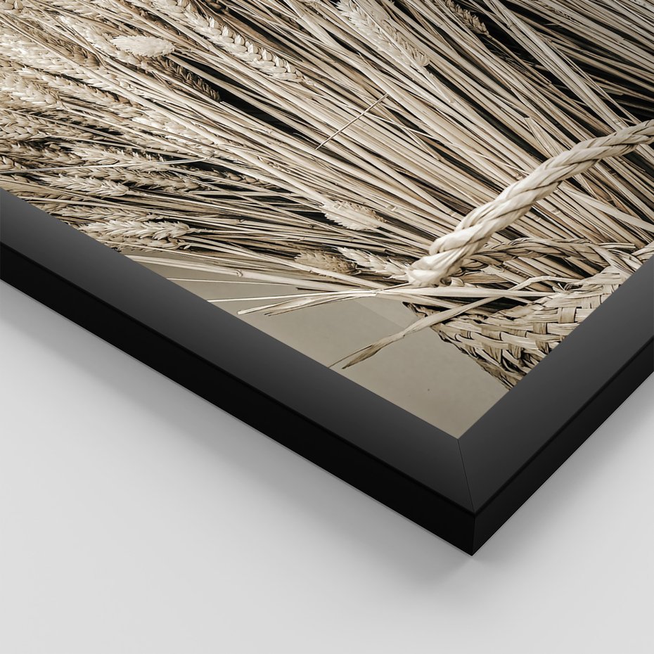 Zestaw obrazy w ramie 40x50 galeria - Sepia, krajobraz, wiejski, pole - rama czarna