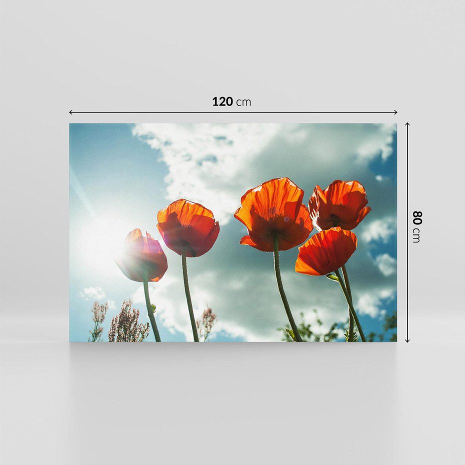 Obraz na płótnie 120x80 - Kwiaty pod niebem: piękno natury - kwiaty, niebo