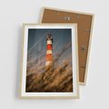 Plakat w ramie 50x70 - Magia nadmorskiego światła - latarnia morska, ujęcie z za trawy - rama drewno