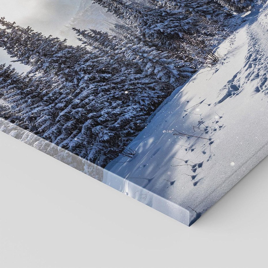 Obraz na płótnie 120x80 - Zimowe góry w lesie - góry, zima