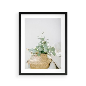 Plakat w ramie 30x40 - Eukaliptusowa Świeżość - eukaliptus, liście w koszu z wikliny - rama czarna