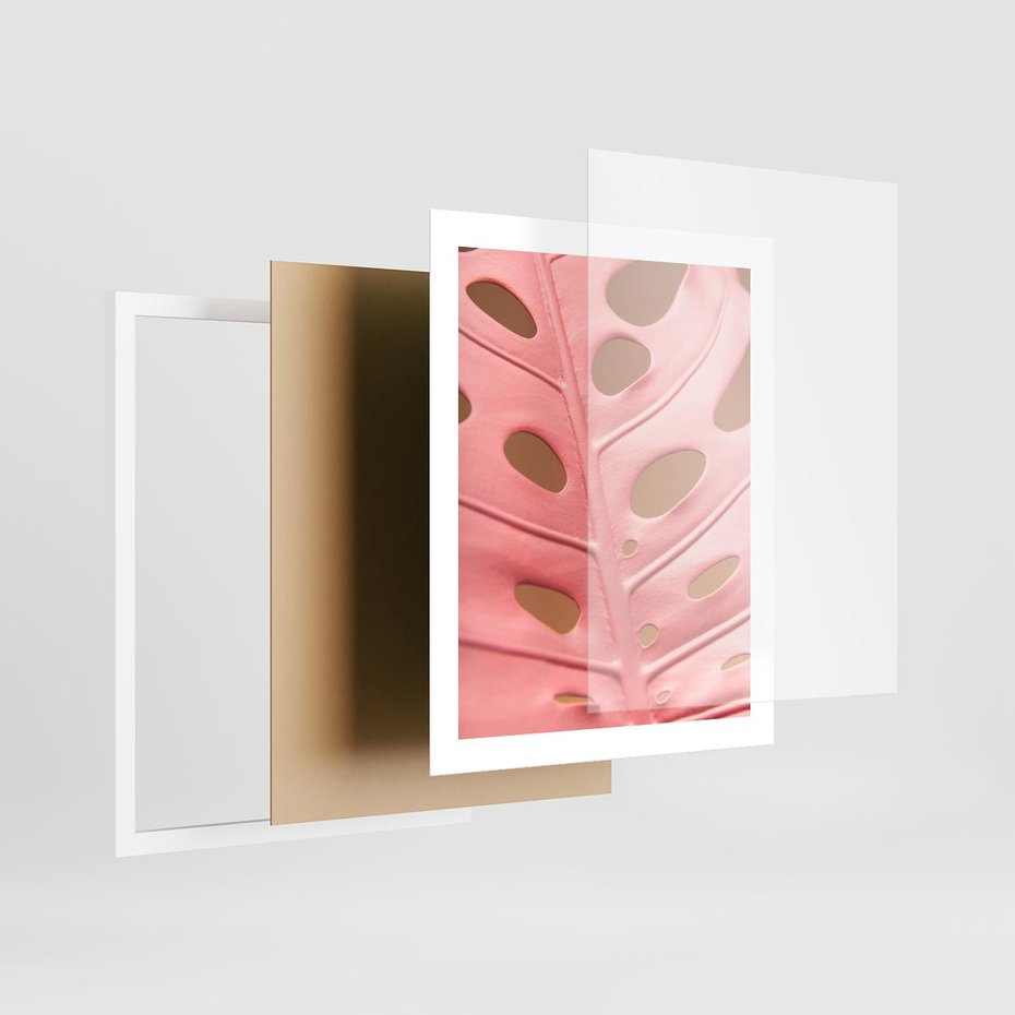 Plakat w ramie 40x50 - Różowa monstera w pełnym rozkwicie - różowa, monstera - rama biała