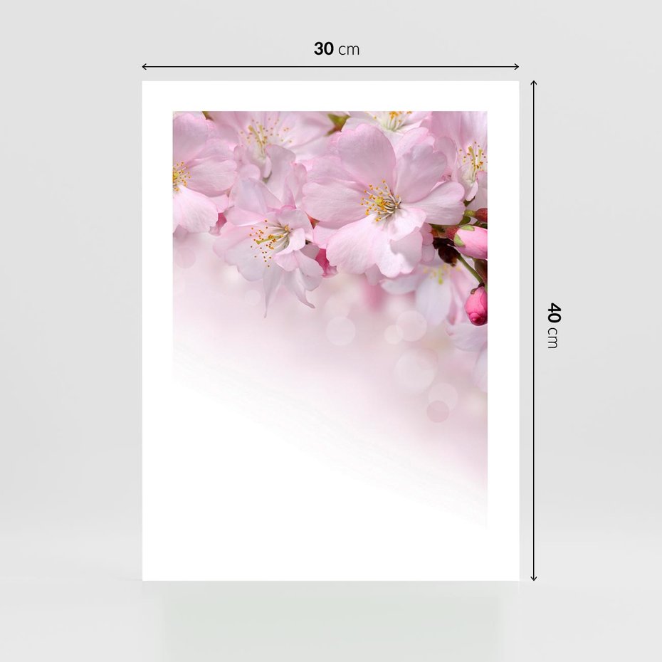 Plakat bez ramy 30x40 - Kwitnąca Wiśnia - kwiaty, kwitnącej