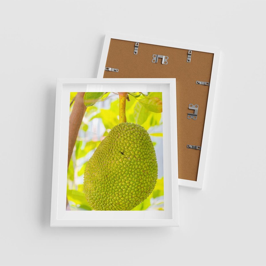 Plakat w ramie 40x50 - Tropikalny raj nad morzem - tropikalny, owoc - rama biała