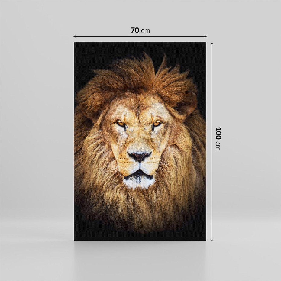 Obraz na płótnie 70x100 - Król zwierząt w majestatycznym stylu - lew, król