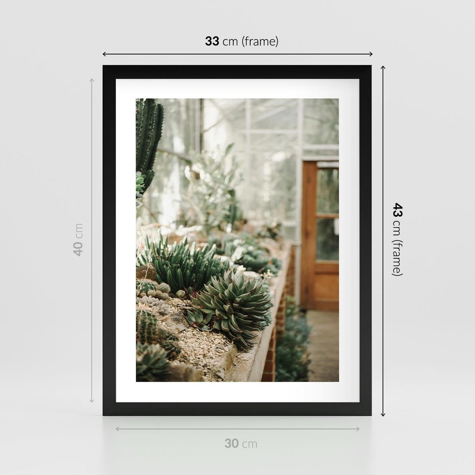 Plakat w ramie 30x40 - Sukulenty w Szklarni - sukulenty, w szklarni - rama czarna
