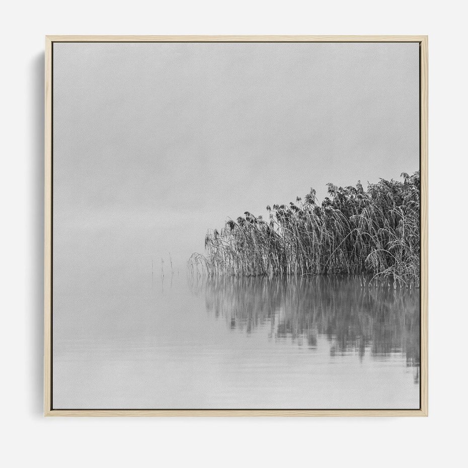 Obraz w ramie 50x50 - Mglisty Brzeg Jeziora - czarno białe zdjęcie, zamglone jezioro - rama drewno