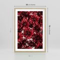 Plakat w ramie 50x70 - Energia Kwiatów - czerwone kwiaty, kompozycja - rama drewno