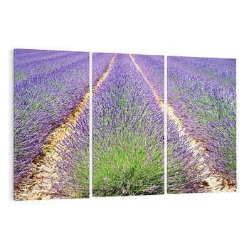 Obraz na płótnie 120x80 - Lawendowy kwiat - lawenda, kwiat