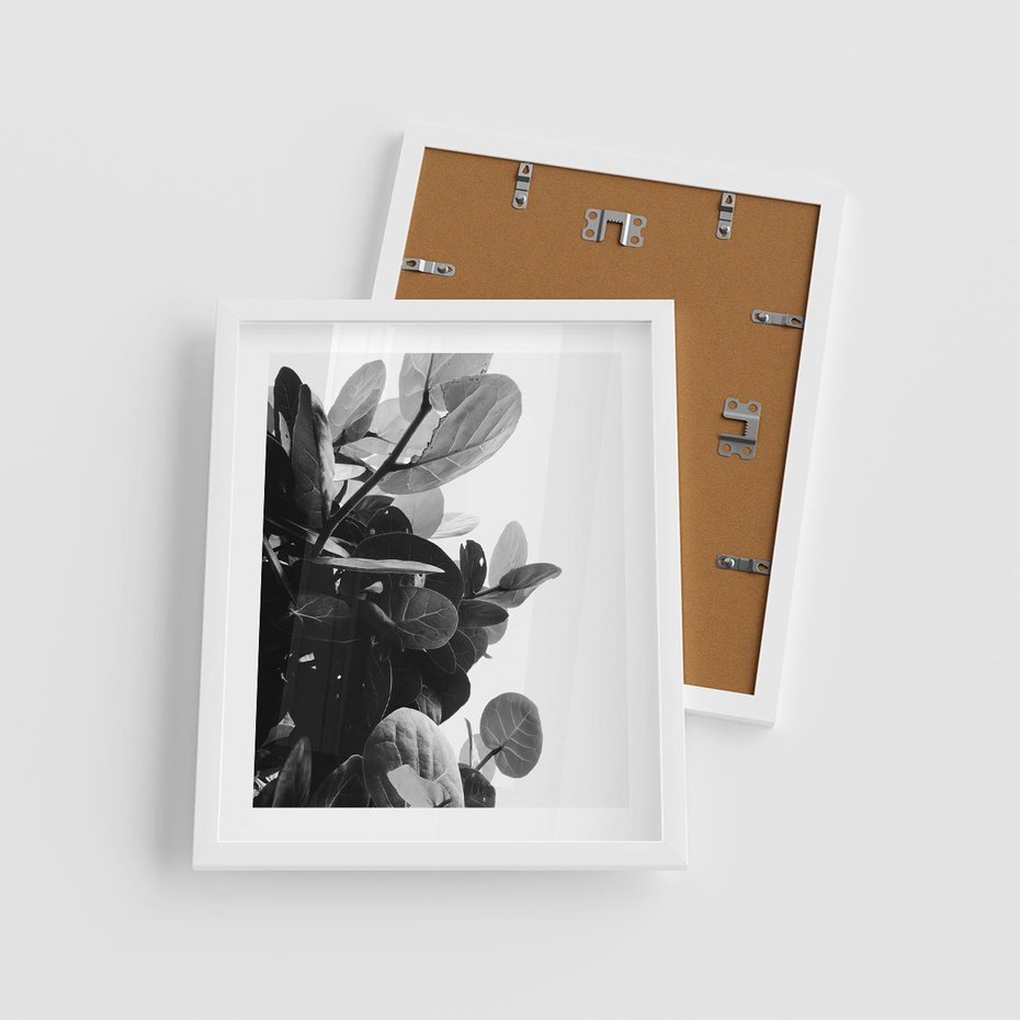 Plakat w ramie 40x50 - Blisko Natury - liście, rośliny tropikalne - rama biała