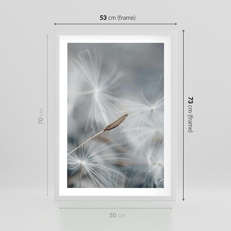 Plakat w ramie 50x70 - Piękno w Delikatności - dmuchawiec, makro zdjęcie - rama biała