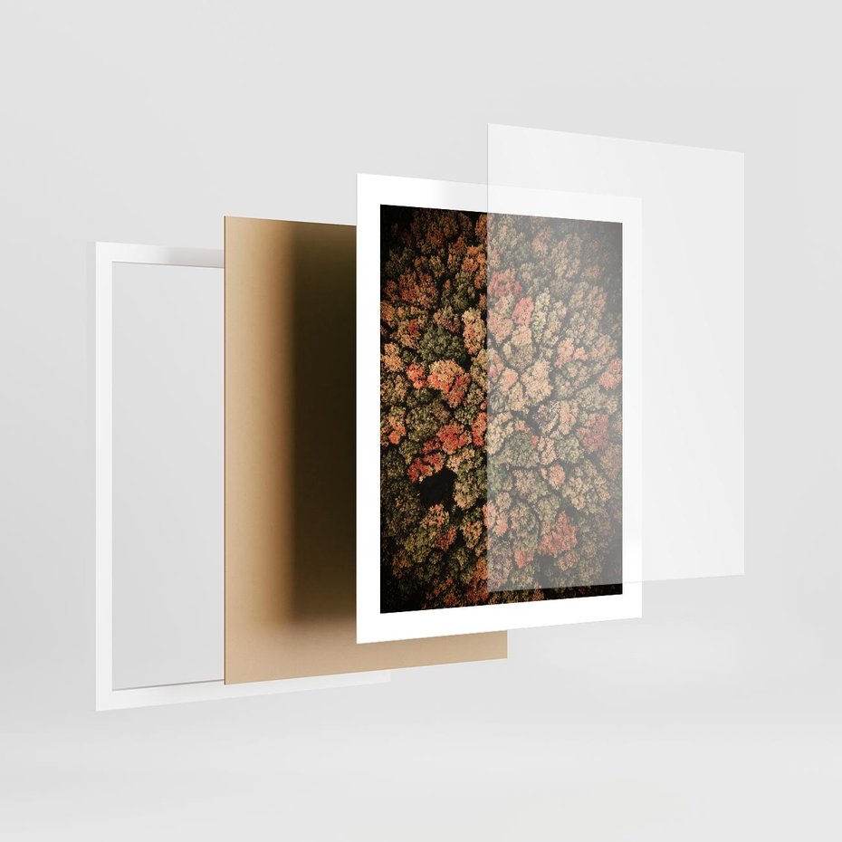 Plakat w ramie 40x50 - Jesień z Lotu Ptaka: Malowniczy Las - las jesienią z lotu ptaka - rama biała