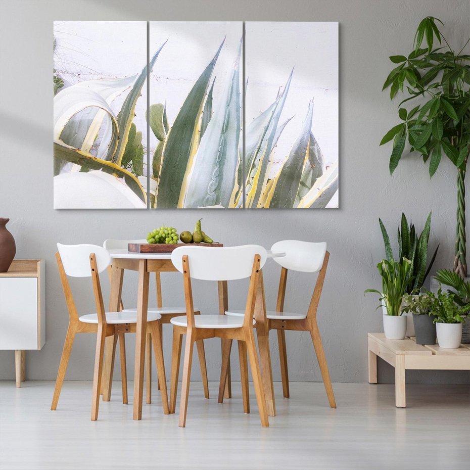 Obraz na płótnie 120x80 - Sukulentowe liście - liście, sukulenty