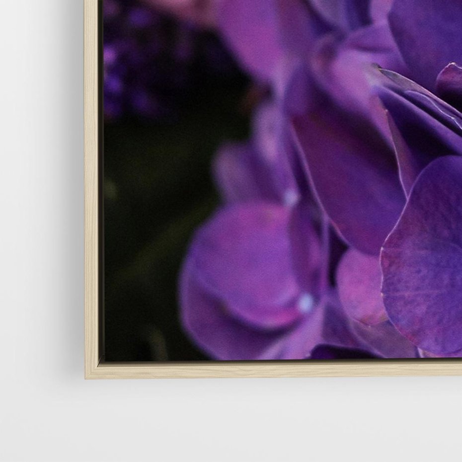 Obraz w ramie 120x80 - Fioletowa hortensja - kwiaty, hortensja - rama drewno
