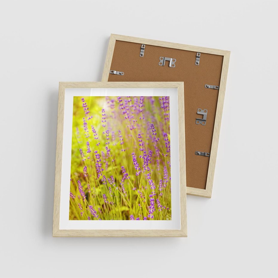 Plakat w ramie 40x50 - Delikatność natury - lawenda, kwiaty - rama drewno