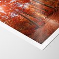 Plakat bez ramy 30x40 - Magia jesiennego lasu - las, jesień