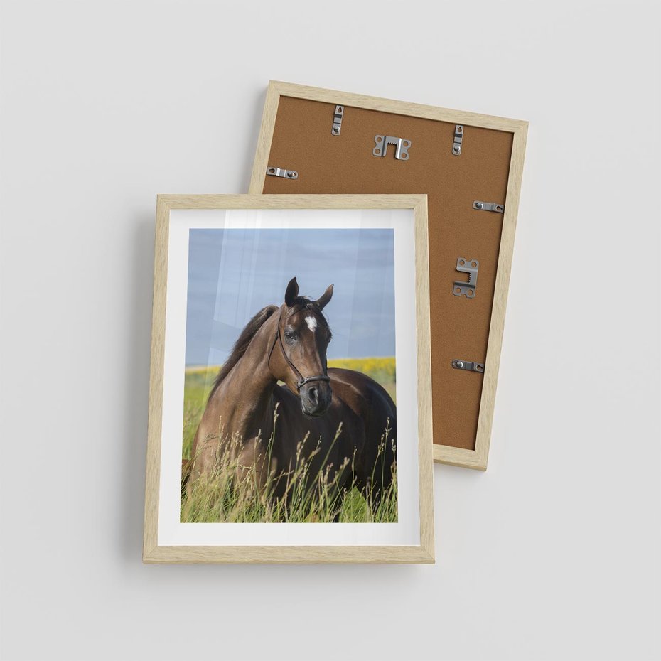 Plakat w ramie 30x40 - Siła i piękno natury - koń, łąka - rama drewno