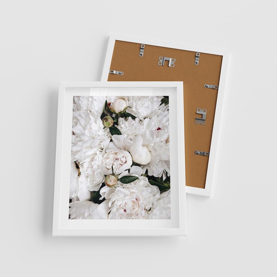 Plakat w ramie 40x50 - Modne Białe Kwiaty - białe kwiaty, płatki - rama biała