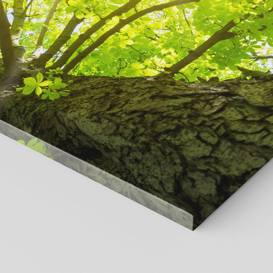 Obraz na płótnie 80x120 - Drzewo pod Słońcem: Łączność z Naturą - drzewo, słońce