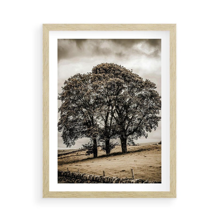 Plakat w ramie 50x70 - Spokojna Osamotniona Chwila - beżowe kolory, samotne drzewo na polu - rama drewno