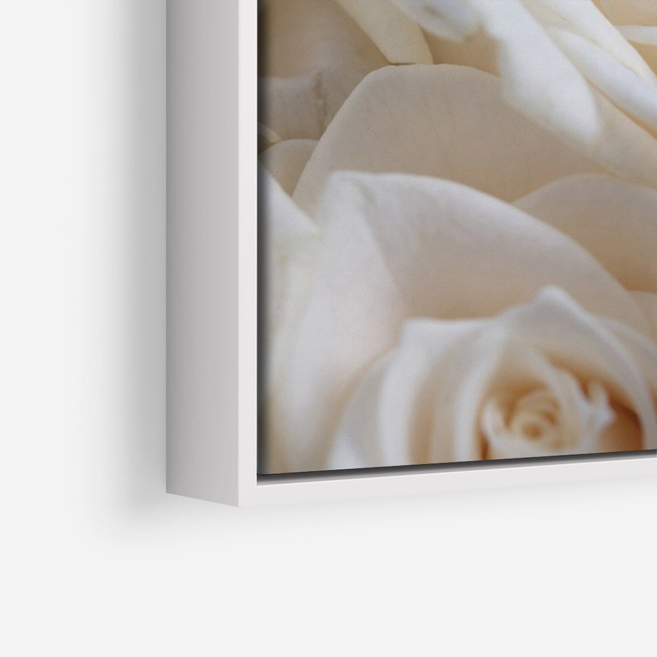 Obraz w ramie 50x70 - Białe róże piękności - białe, róże - rama biała