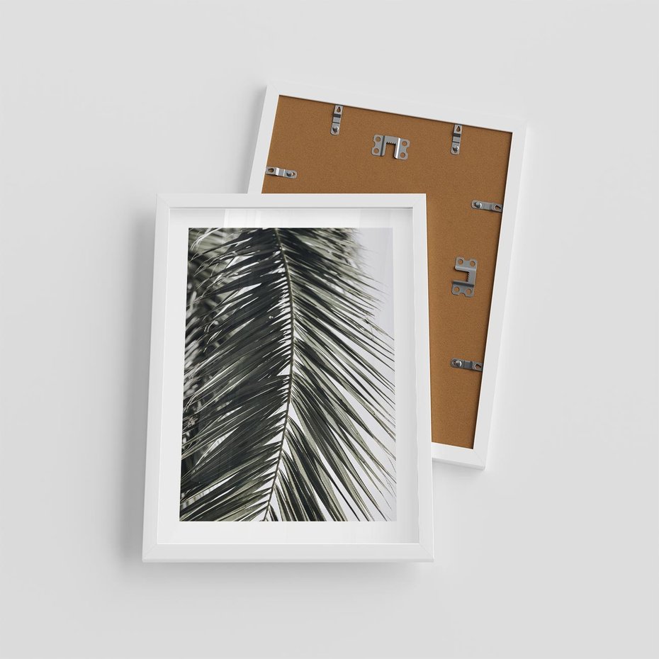 Plakat w ramie 30x40 - Liść Palmy: Egzotyczny Detal Natury - palma, liść palmy - rama biała