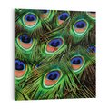 Obraz na płótnie 40x40 - Pawi Ogon - Piękno i Wspaniałość - paw, pióra