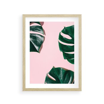 Plakat w ramie 50x70 - Siła Natury - liście, monstera - rama drewno