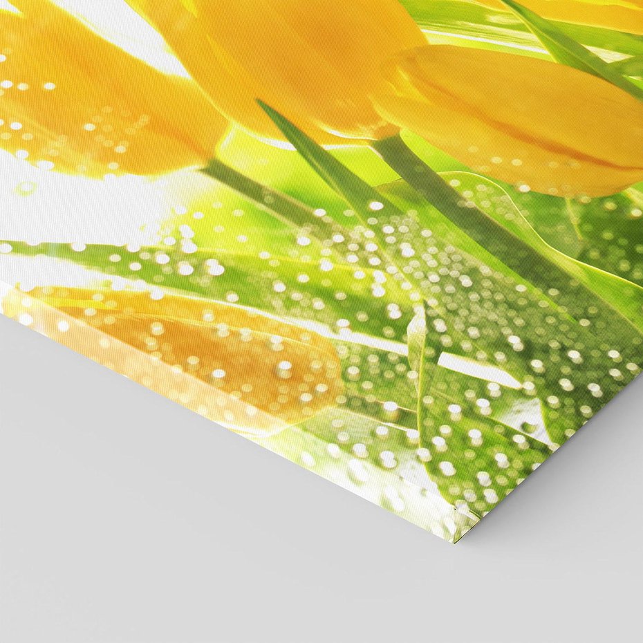 Obraz na płótnie 120x80 - Tulipany - szczyt kwiatowego piękna - tulipany, kwiaty