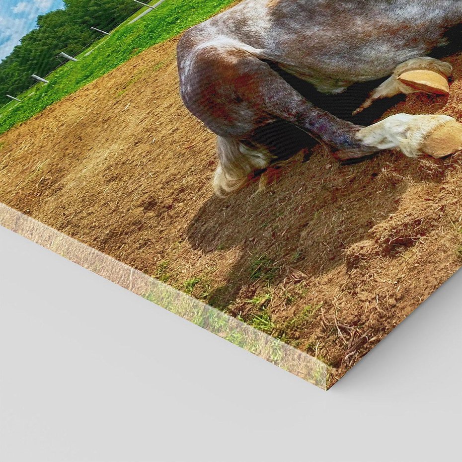 Obraz na płótnie 120x80 - Konie - siła natury - koń, konik