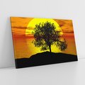 Obraz na płótnie 120x80 - Drzewo - Zachód słońca - drzewo, zachód słońca