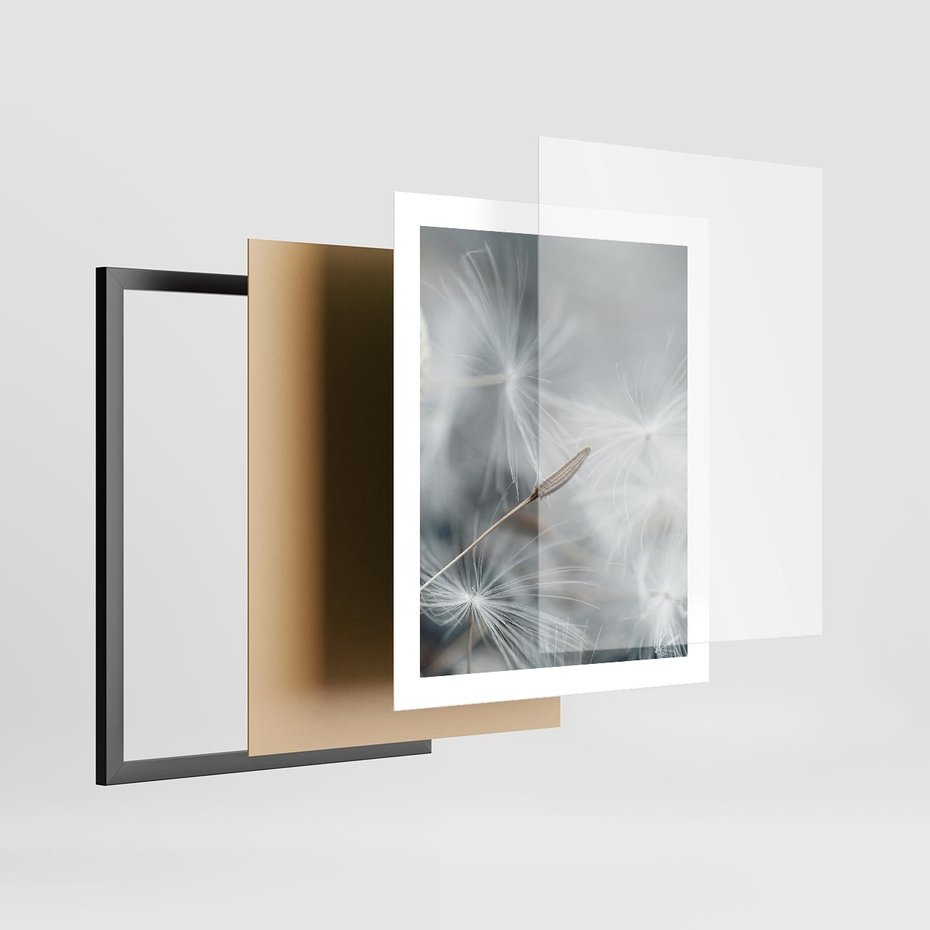 Plakat w ramie 40x50 - Piękno w Delikatności - dmuchawiec, makro zdjęcie - rama czarna