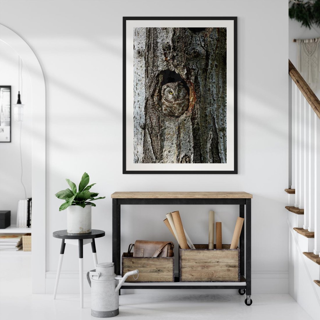 Plakat w ramie 30x40 - Tajemniczy W świecie Nocy - sowa, dziupla - rama czarna