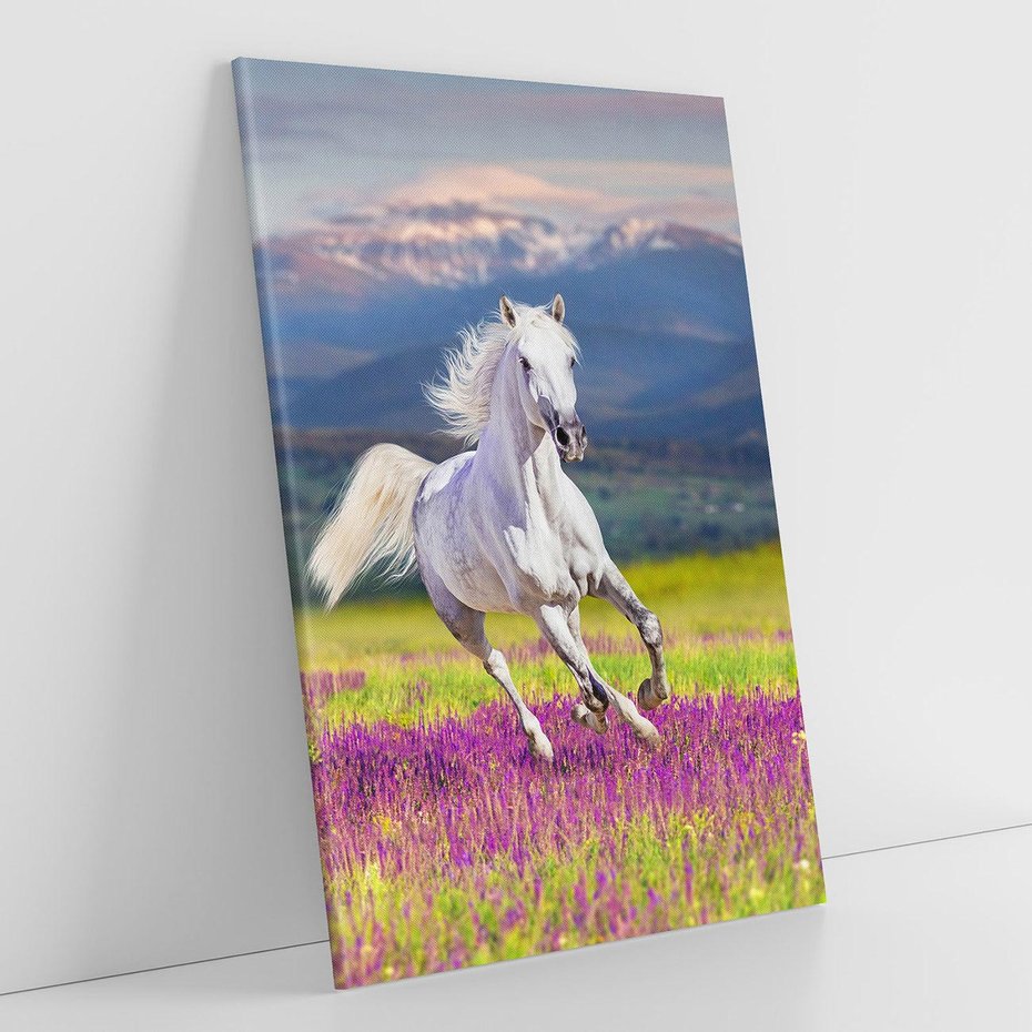 Obraz na płótnie 50x70 - Koń Góry: Spotkanie z Wielką Przyrodą - koń, góry