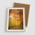 Plakat w ramie 50x70 - Złote barwy jesiennego lasu - las, jesień - rama drewno