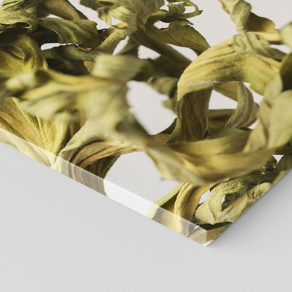 Obraz na płótnie 30x30 - Odejście pory deszczowej - suche, trawy