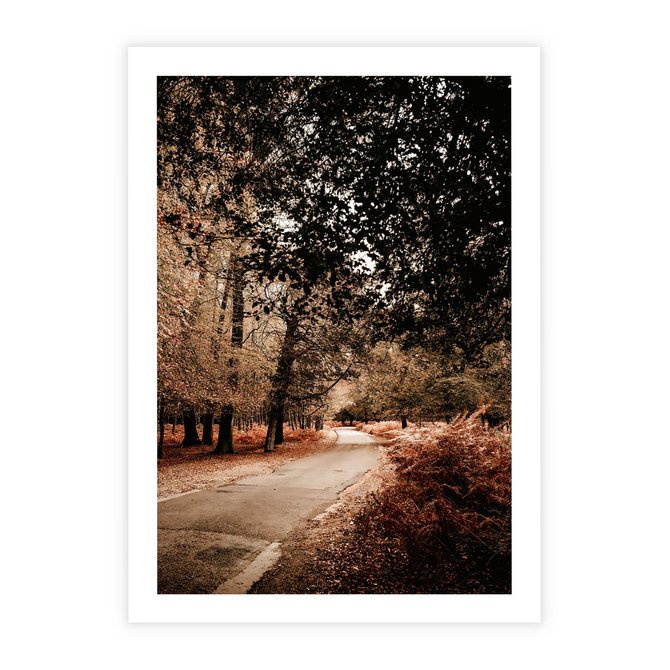 Plakat bez ramy 21x30 - Magia Jesieni: Pejzaż Parku w Odcieniach Żółci - jesień, park