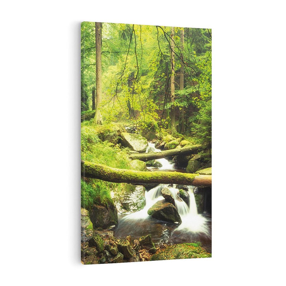 Obraz na płótnie 50x70 - Magiczny Strumień w Lesie - strumień, las