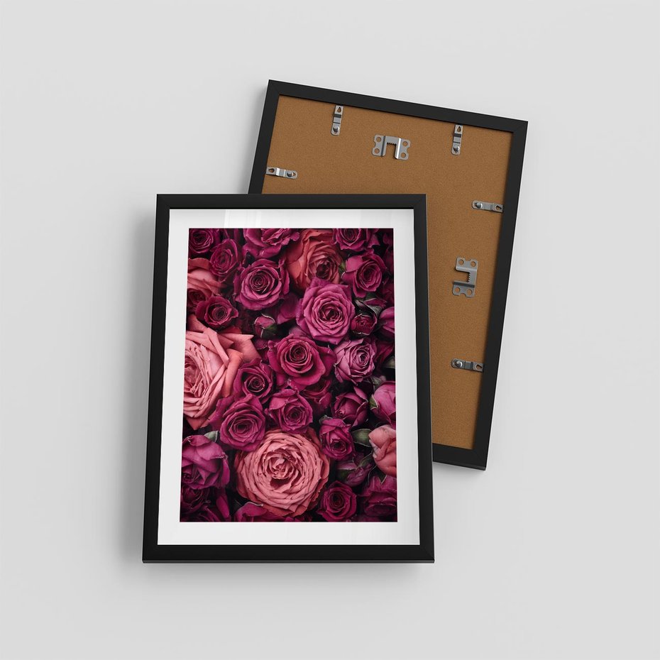 Plakat w ramie 30x40 - Róże - piękno kwiatów - róże, kwiaty - rama czarna