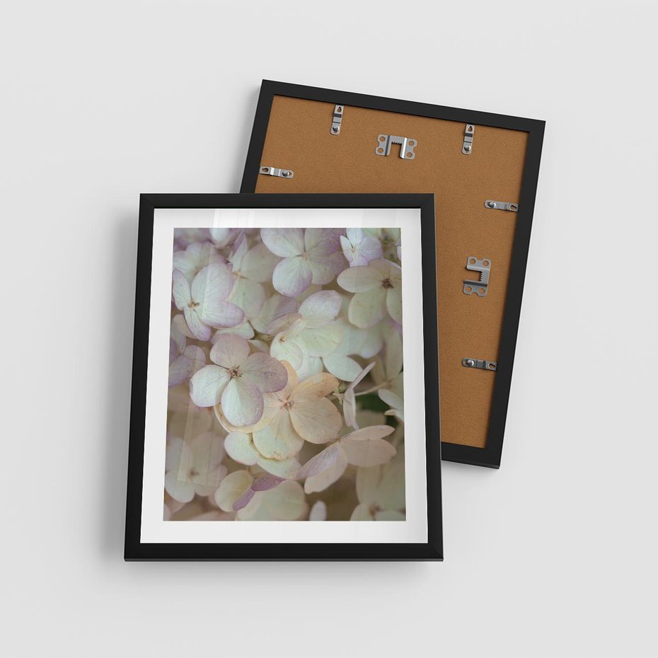 Plakat w ramie 40x50 - Kwiatowy taniec - kwiaty, hortensje - rama czarna