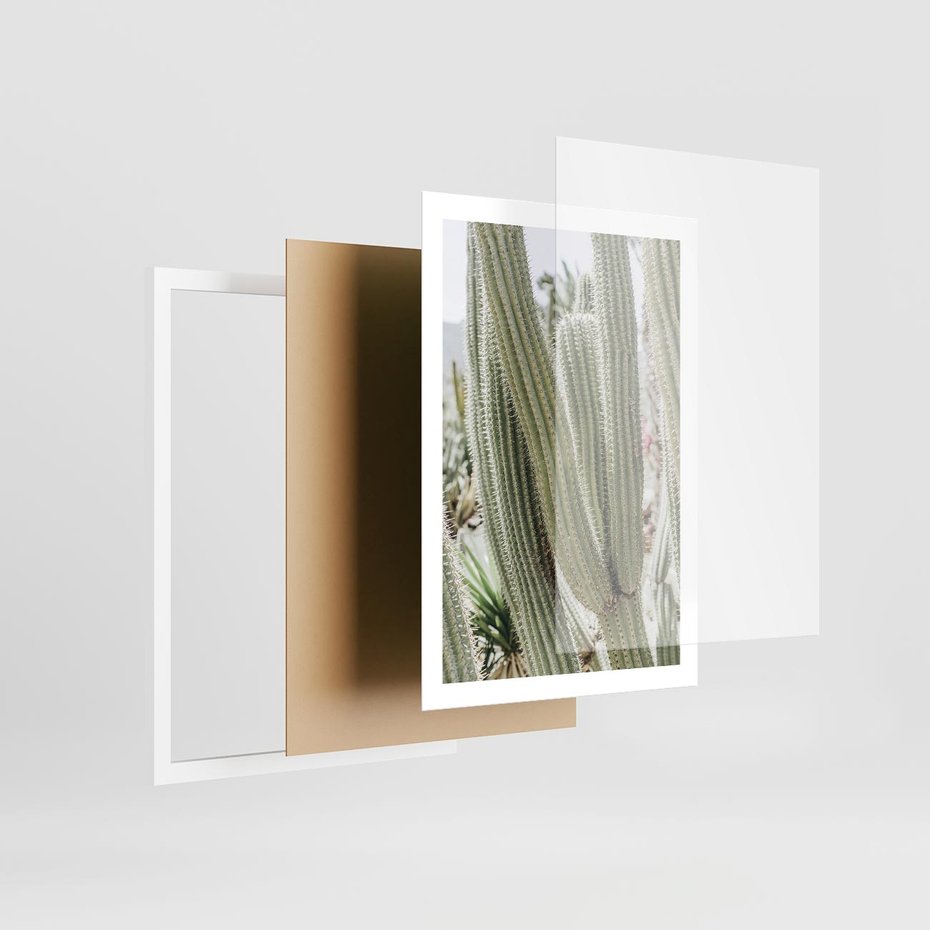 Plakat w ramie 50x70 - Duże Kaktusy w Pejzażu - kaktus, duże kaktusy na pustyni - rama biała