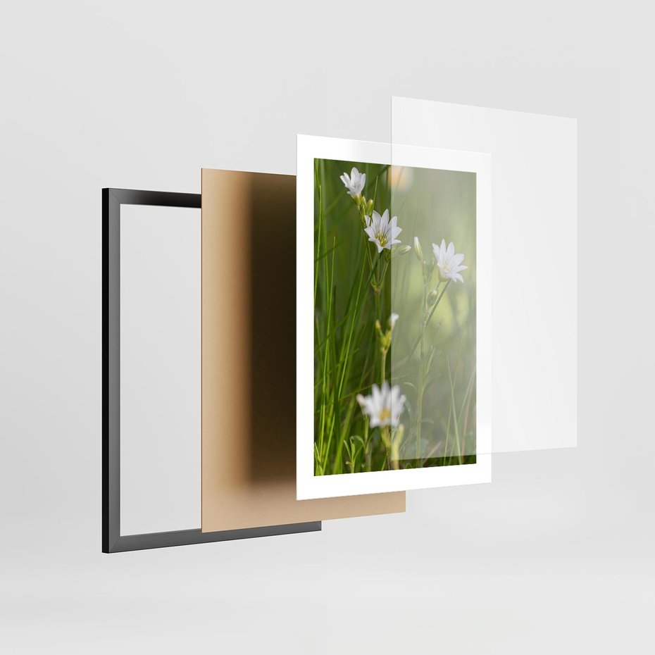 Plakat w ramie 30x40 - Kolorowa łąka - stokrotki, łąka - rama czarna