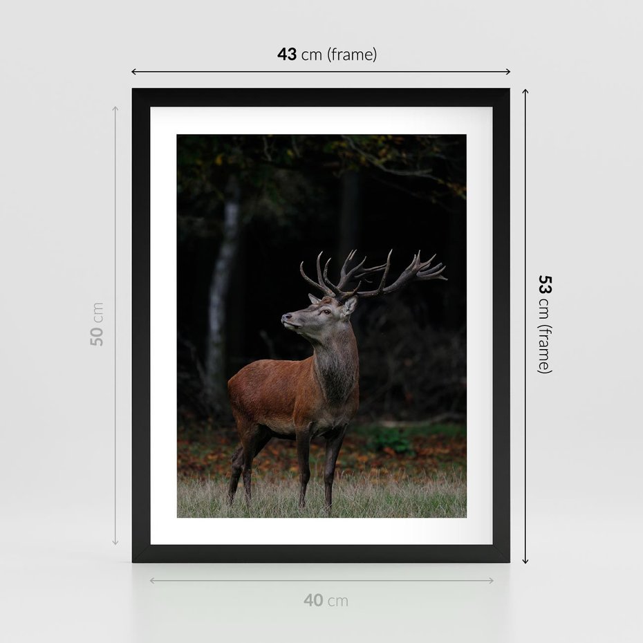 Plakat w ramie 40x50 - Spotkanie z naturą - jeleń, las - rama czarna
