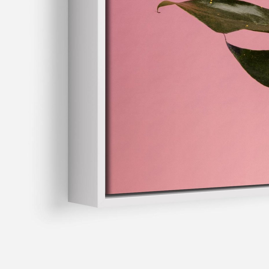 Obraz w ramie 70x50 - Majestatyczna monstera - monstera, liść - rama biała