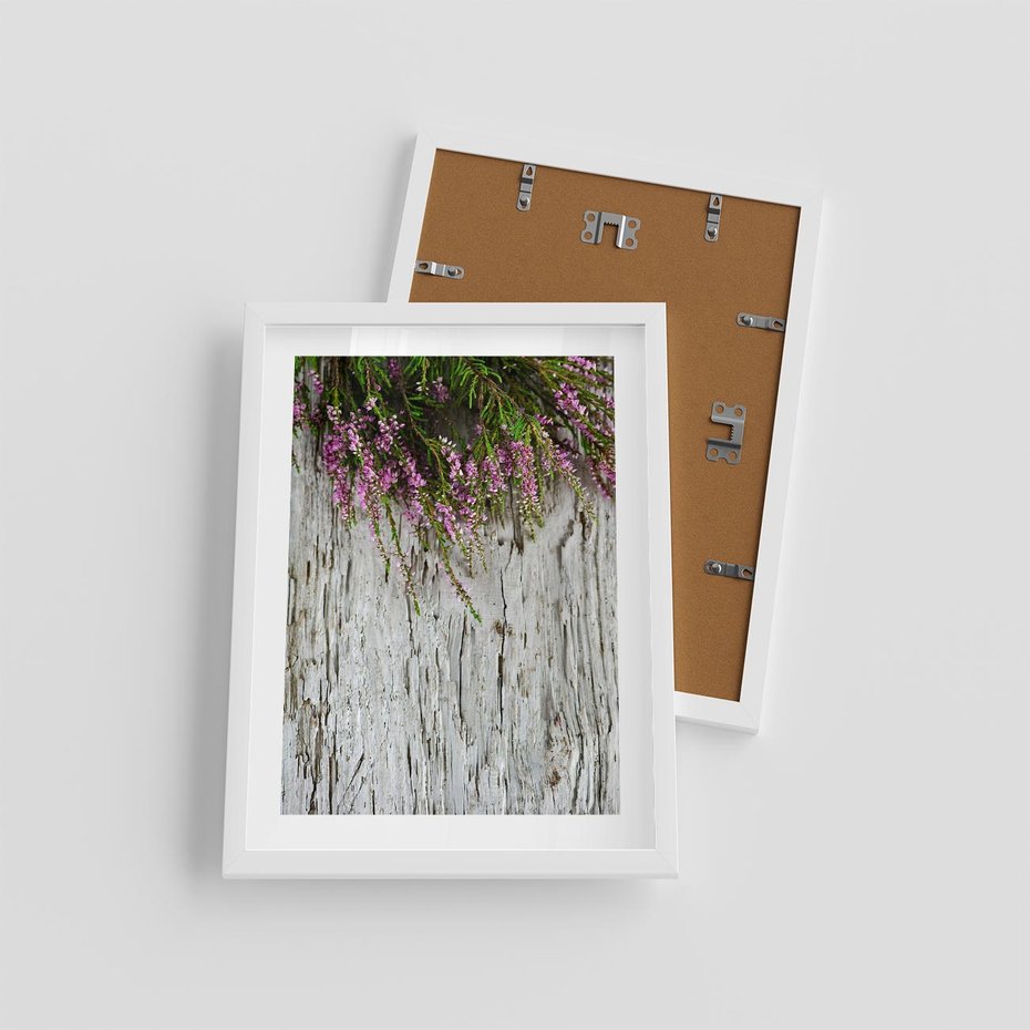 Plakat w ramie 30x40 - Fioletowe Wrzosy - wrzosy, fiolet - rama biała